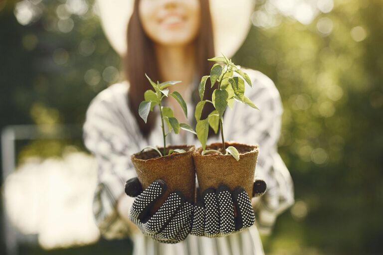 Tips for Creating a Sustainable Home Garden on a Budget